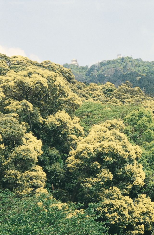 金華山登山 | 体験する