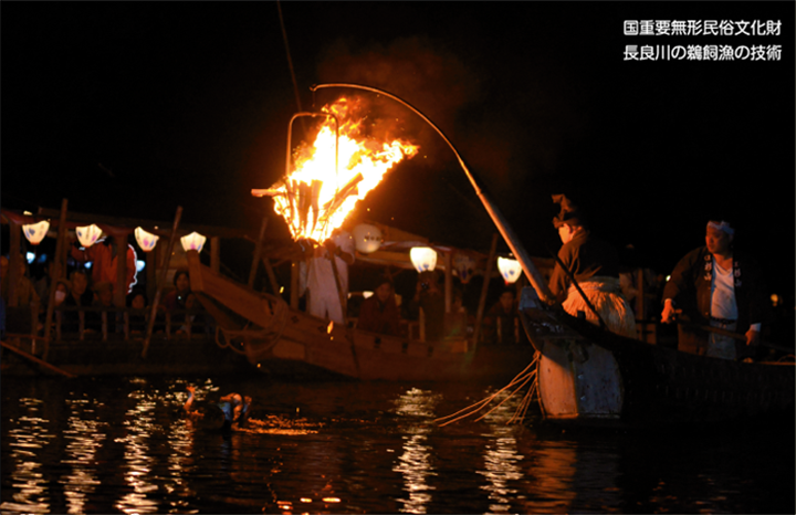国重要無形民俗文化財 長良川の鵜飼魚の技術