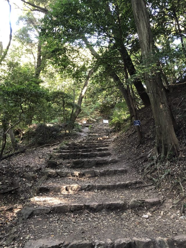 登山道の写真